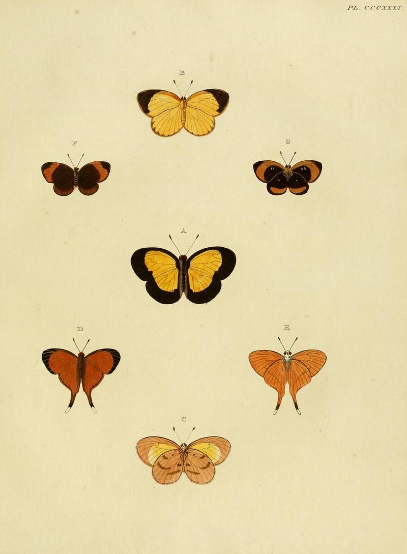 Aanhangsel van het werk, De uitlandsche kapellen (10313302184)