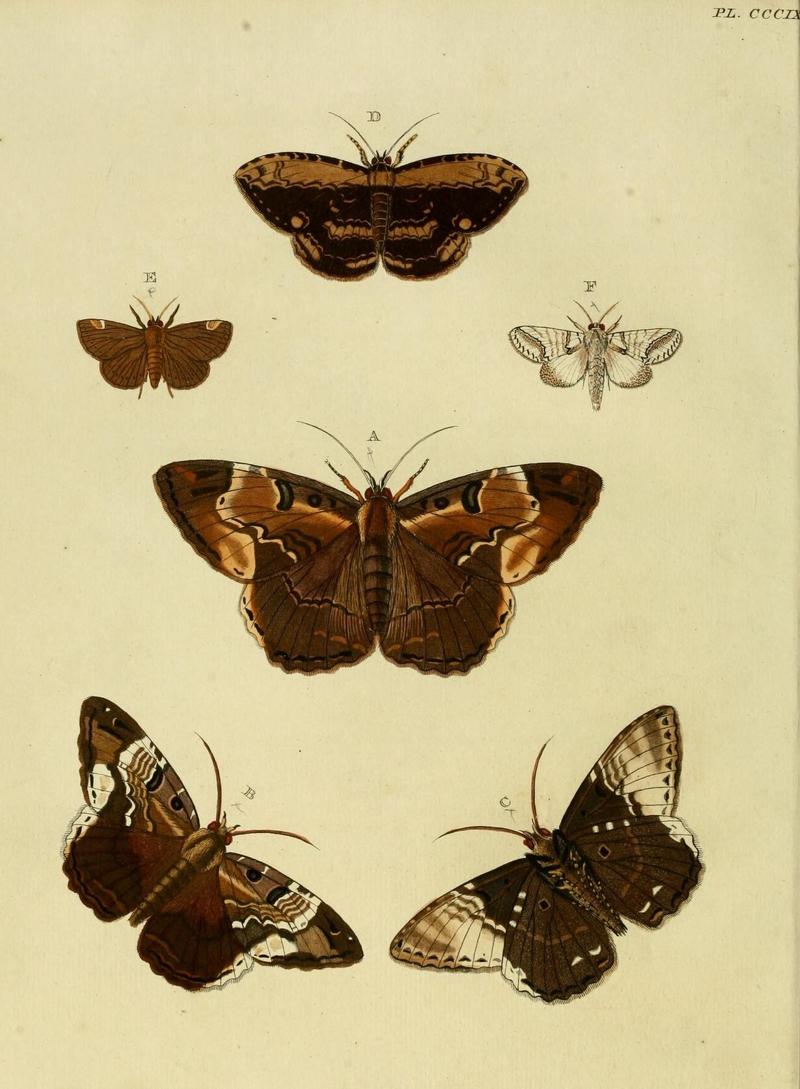 Aanhangsel van het werk, De uitlandsche kapellen (10313304146)