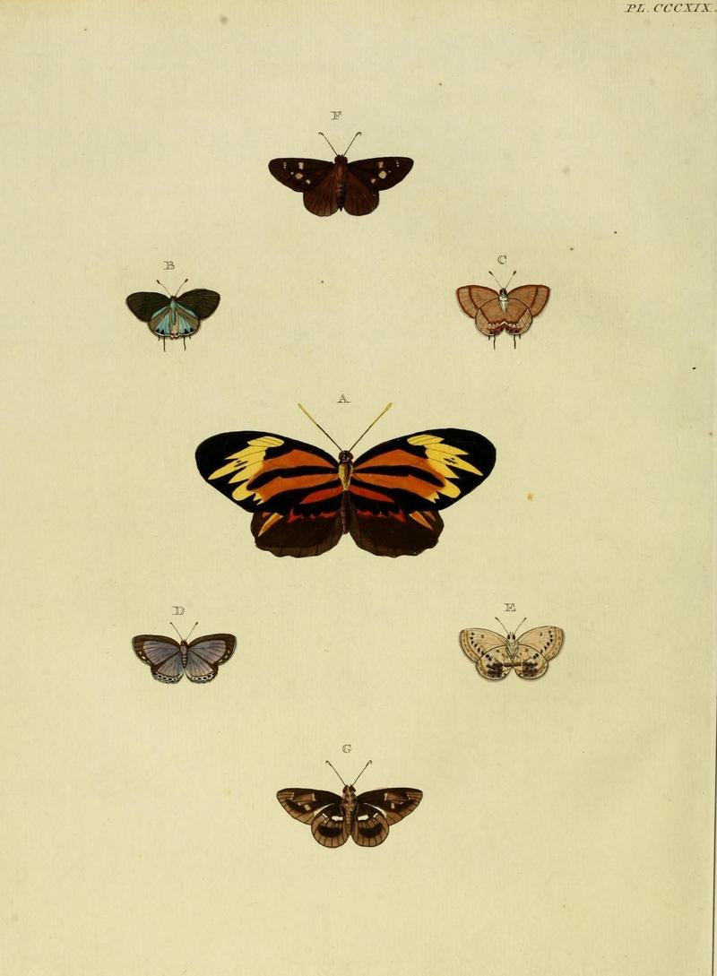 Aanhangsel van het werk, De uitlandsche kapellen (10313310735)