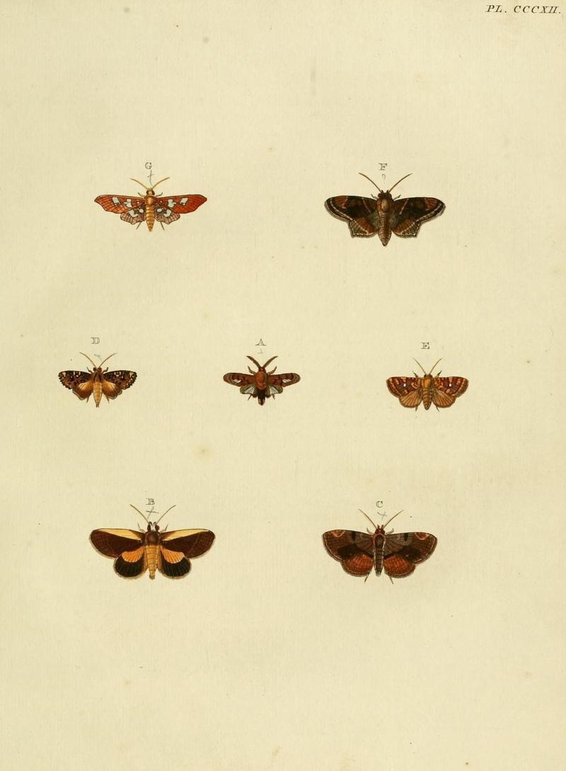 Aanhangsel van het werk, De uitlandsche kapellen (10313311856)