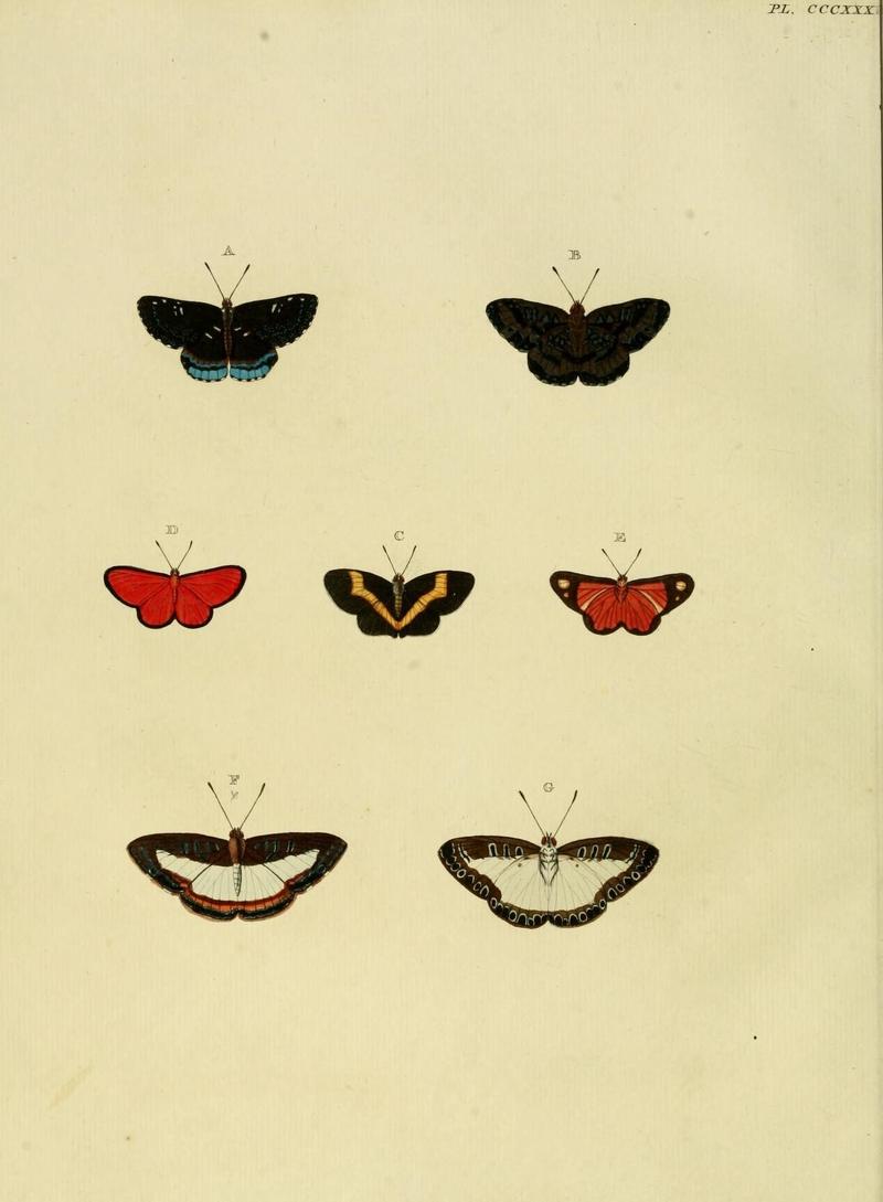 Aanhangsel van het werk, De uitlandsche kapellen (10313312364)