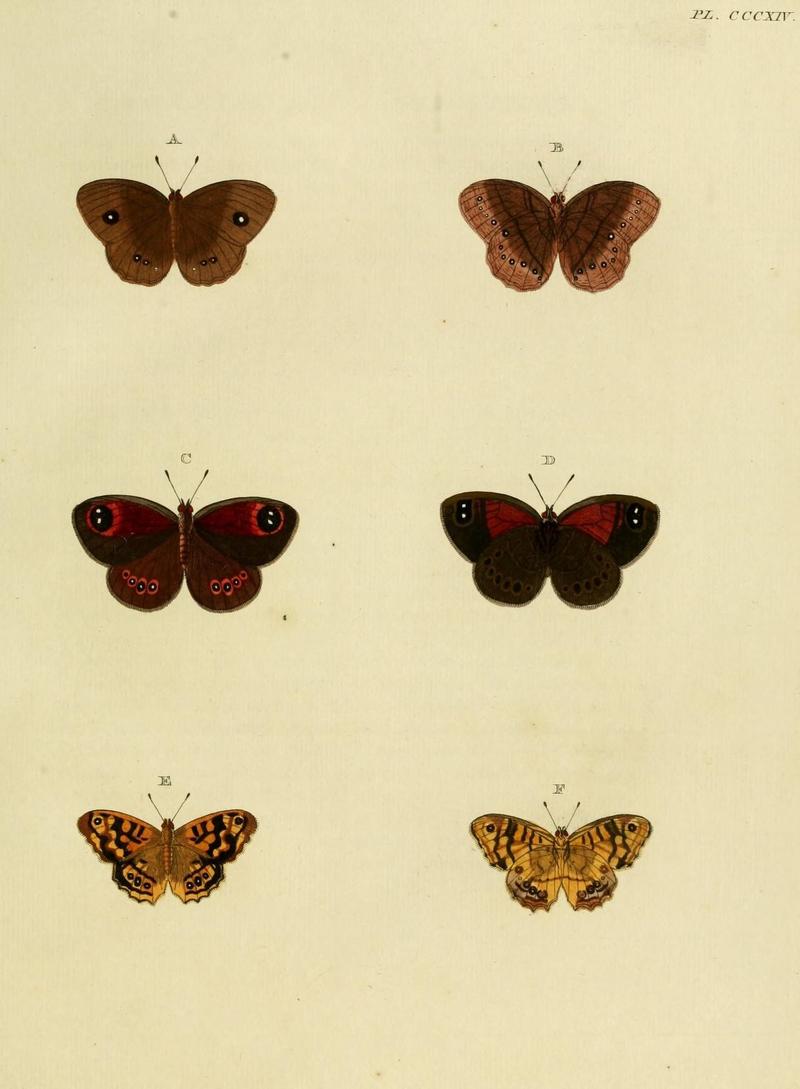 Aanhangsel van het werk, De uitlandsche kapellen (10313318216)