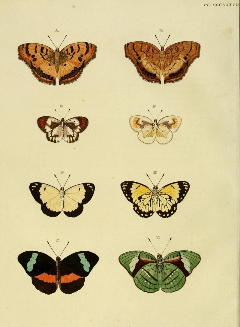 Aanhangsel van het werk, De uitlandsche kapellen (10313321084)