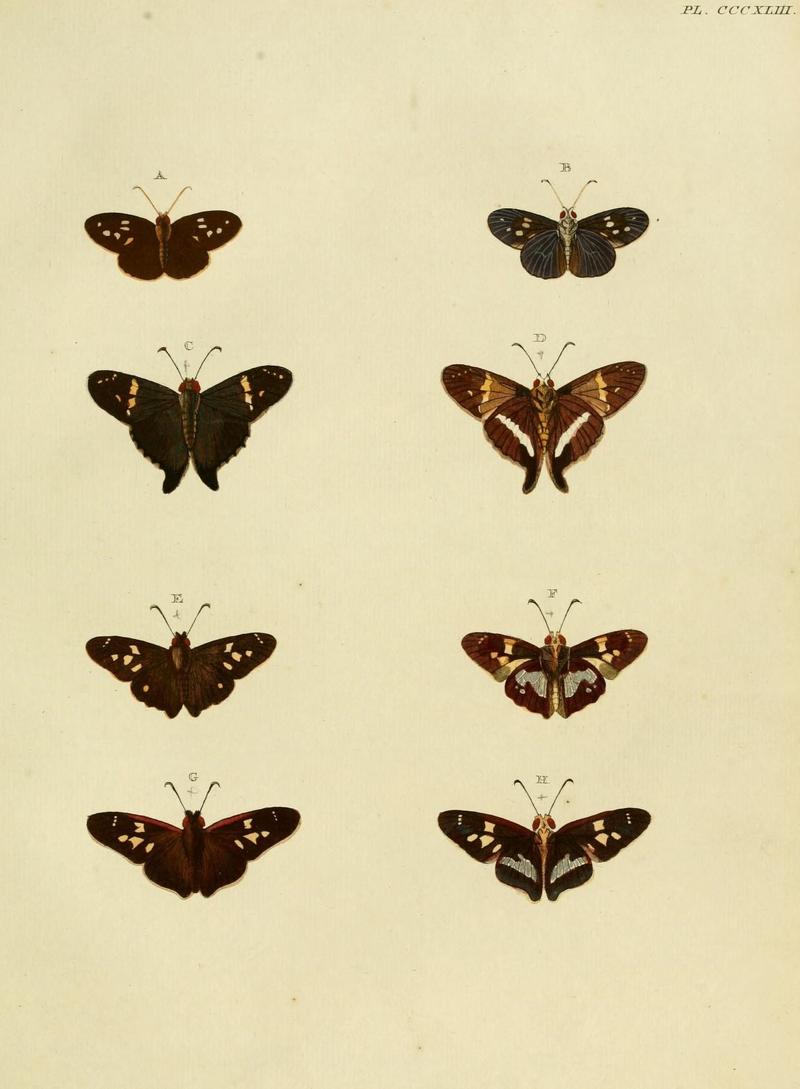 Aanhangsel van het werk, De uitlandsche kapellen (10313333284)