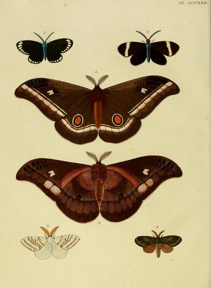 Aanhangsel van het werk, De uitlandsche kapellen (10313340076)