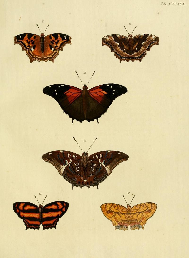 Aanhangsel van het werk, De uitlandsche kapellen (10313340325)