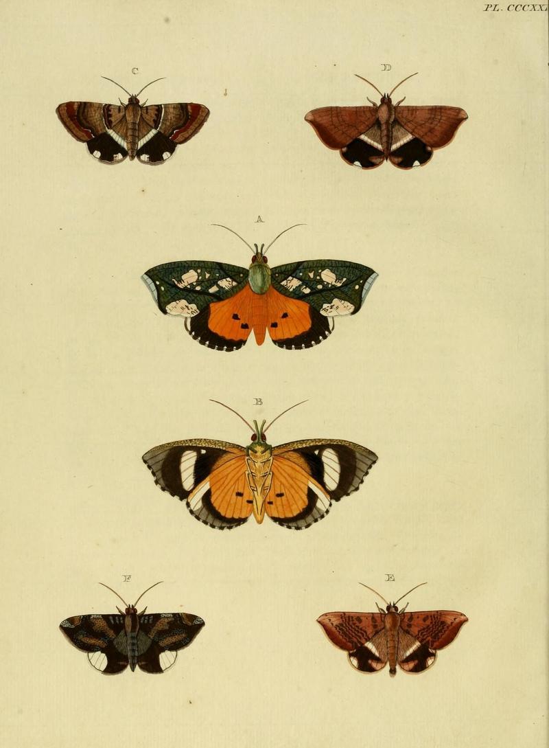 Aanhangsel van het werk, De uitlandsche kapellen (10313342886)