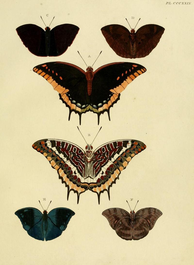 Aanhangsel van het werk, De uitlandsche kapellen (10313359656)