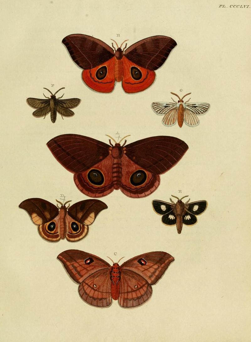 Aanhangsel van het werk, De uitlandsche kapellen (10313368184)