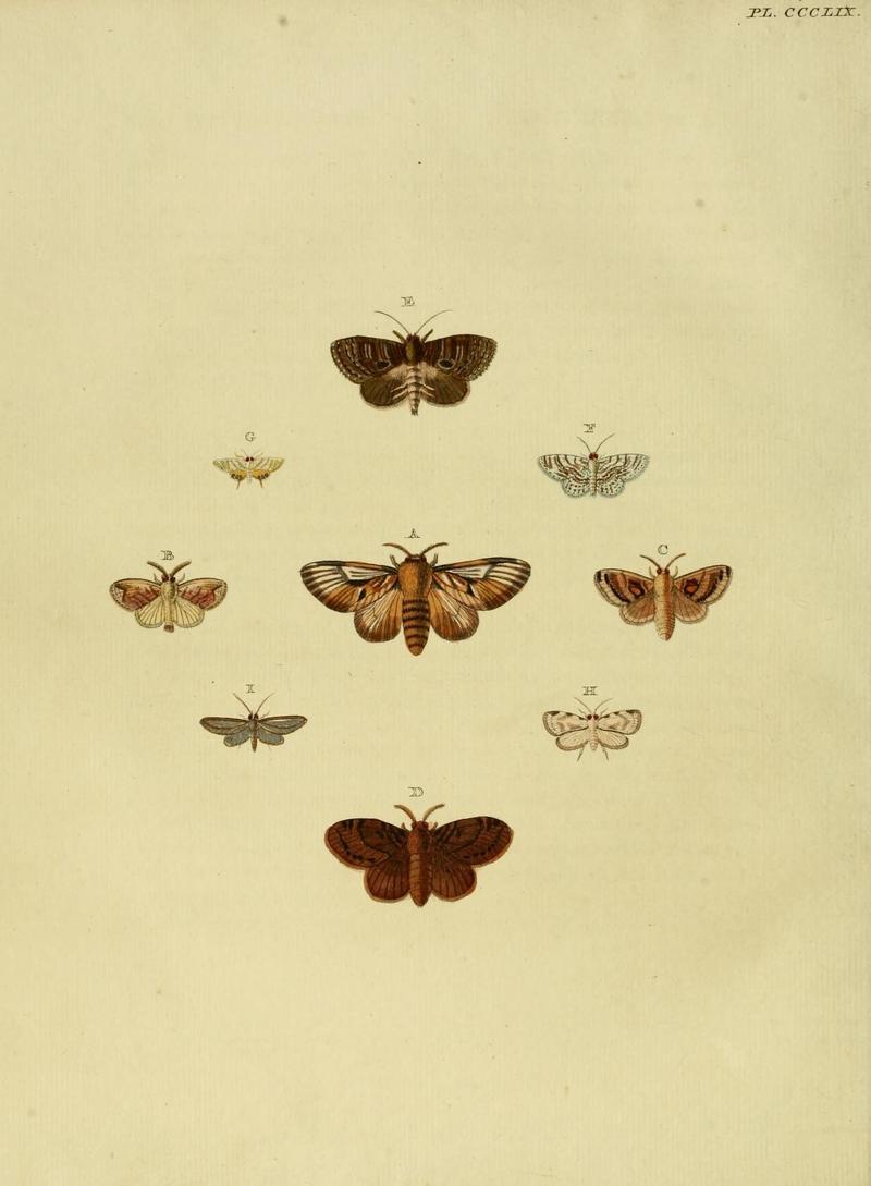 Aanhangsel van het werk, De uitlandsche kapellen (10313379534)