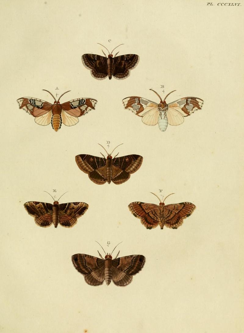 Aanhangsel van het werk, De uitlandsche kapellen (10313381955)