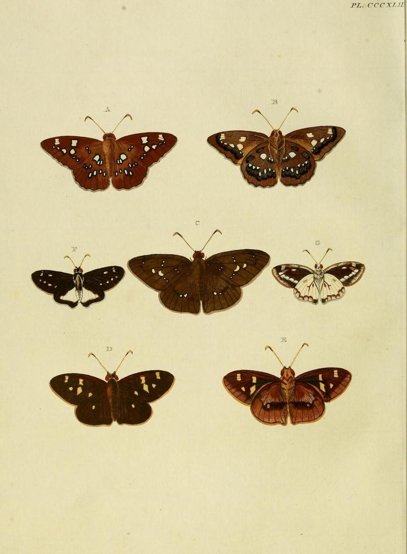 Aanhangsel van het werk, De uitlandsche kapellen (10313391586)