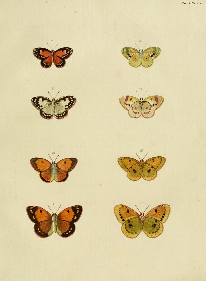 Aanhangsel van het werk, De uitlandsche kapellen (10313394315)