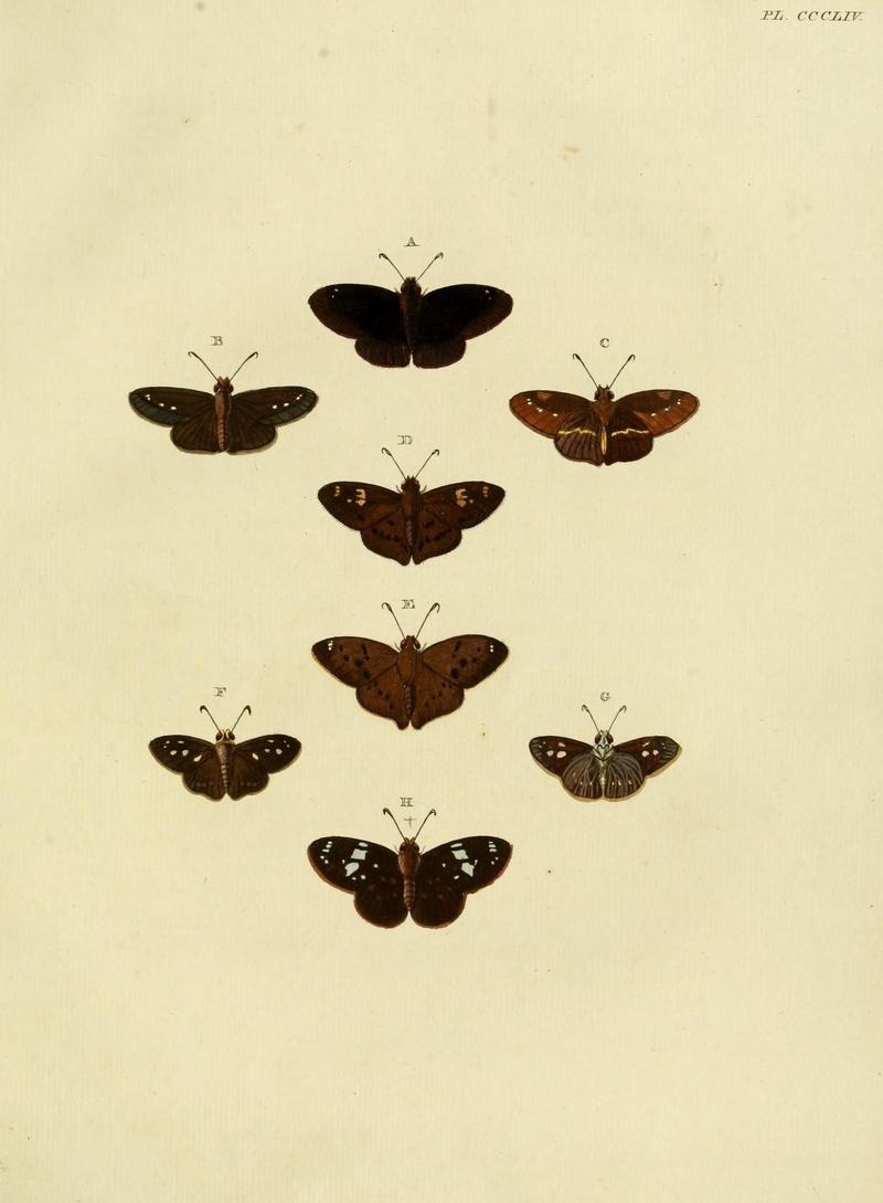 Aanhangsel van het werk, De uitlandsche kapellen (10313403175)