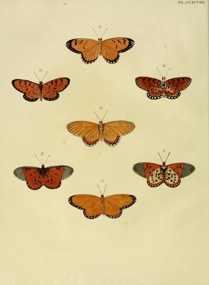 Aanhangsel van het werk, De uitlandsche kapellen (10313409963)