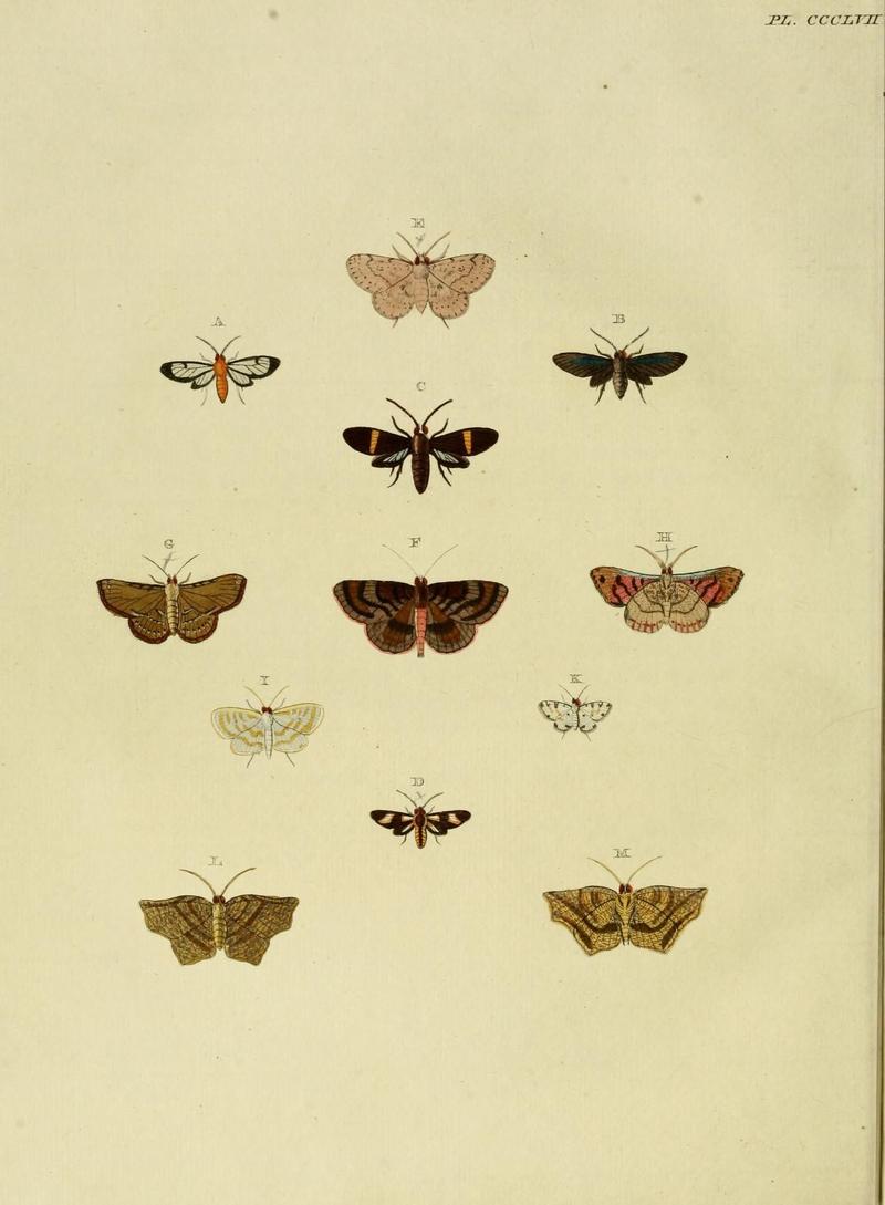 Aanhangsel van het werk, De uitlandsche kapellen (10313410505)