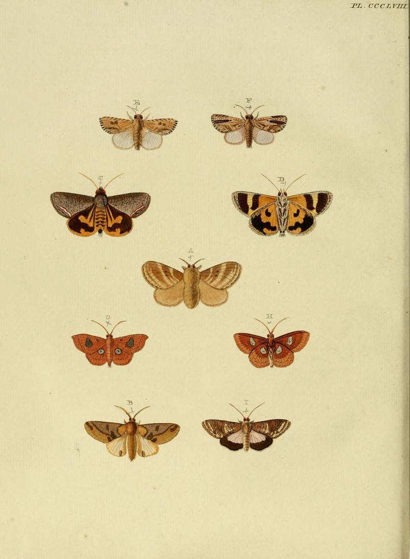 Aanhangsel van het werk, De uitlandsche kapellen (10313414955)