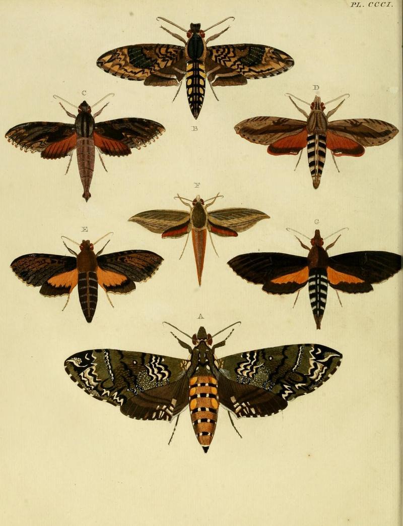 Aanhangsel van het werk, De uitlandsche kapellen (10313418693)