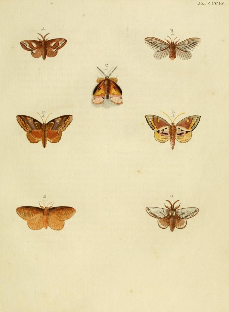 Aanhangsel van het werk, De uitlandsche kapellen (10313432153)