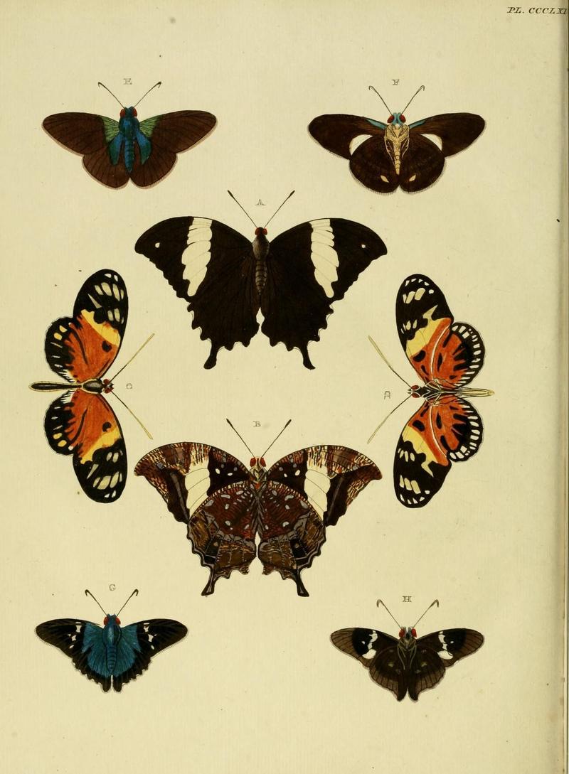 Aanhangsel van het werk, De uitlandsche kapellen (10313436375)