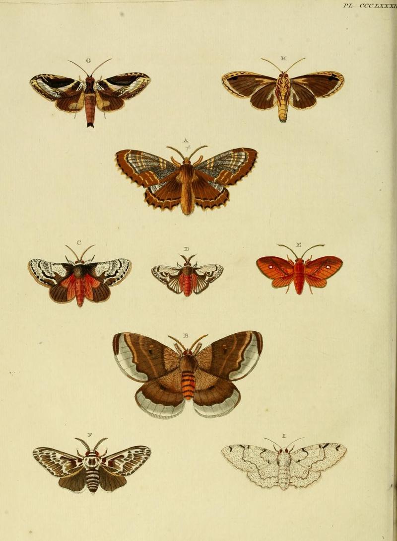 Aanhangsel van het werk, De uitlandsche kapellen (10313449724)