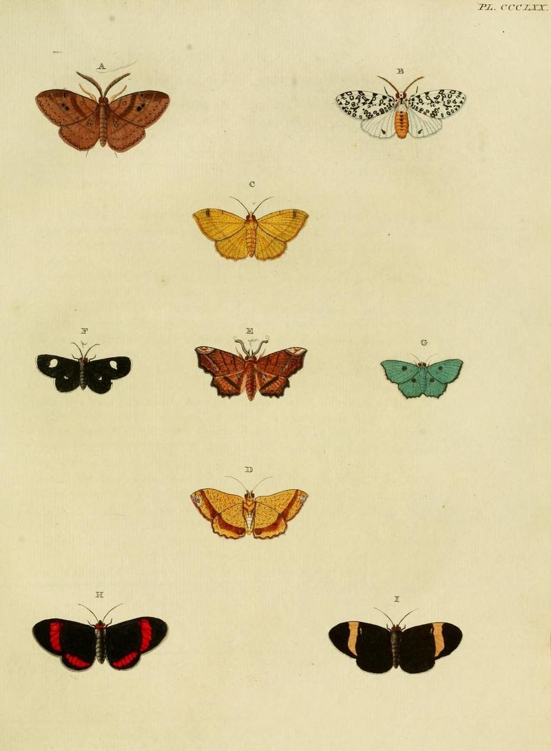 Aanhangsel van het werk, De uitlandsche kapellen (10313452905)