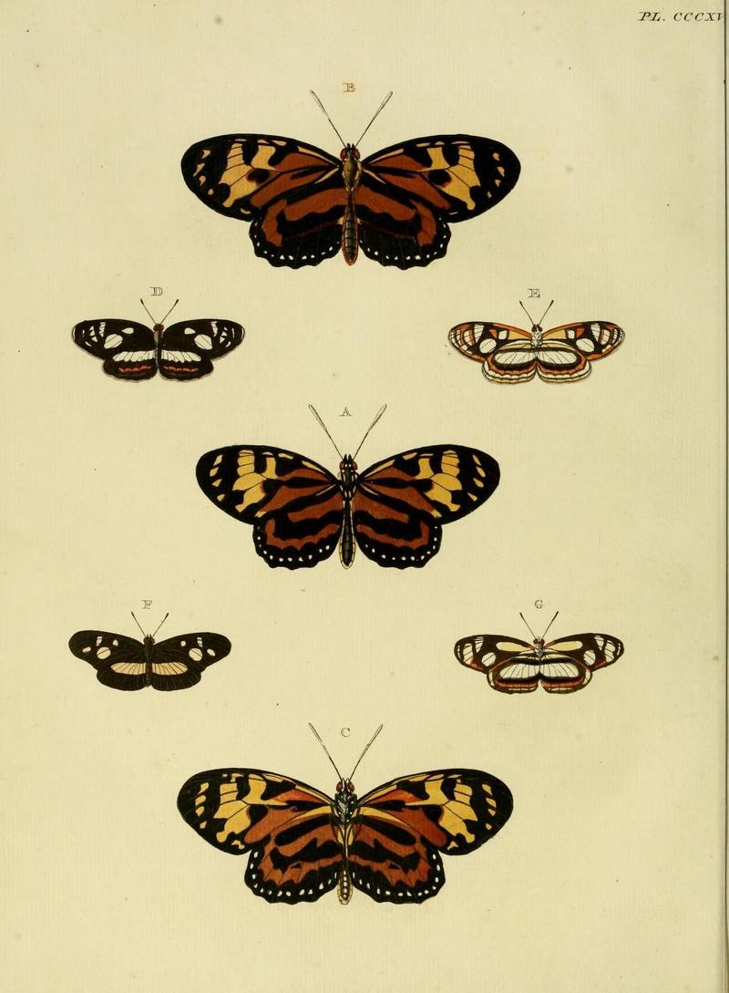 Aanhangsel van het werk, De uitlandsche kapellen (10313459143)