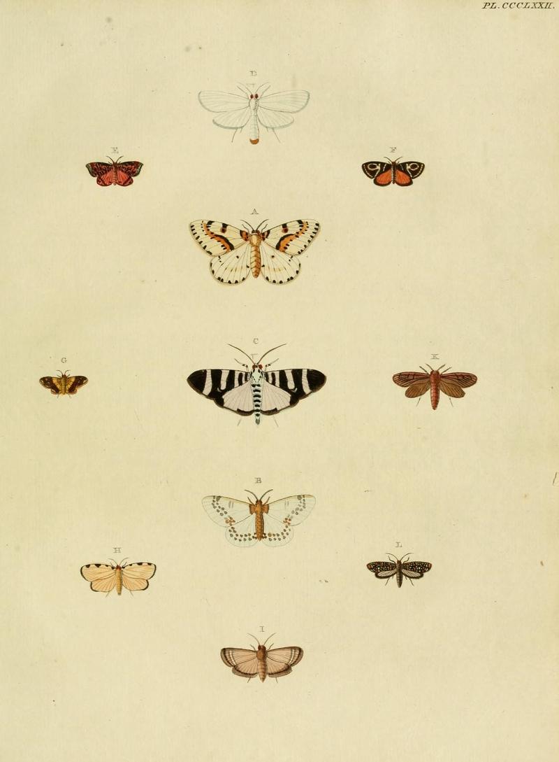 Aanhangsel van het werk, De uitlandsche kapellen (10313459235)