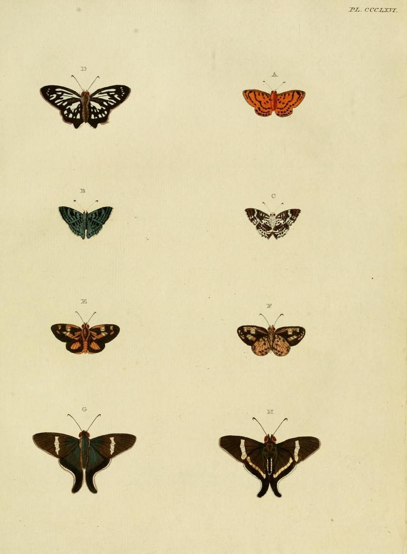 Aanhangsel van het werk, De uitlandsche kapellen (10313463426)