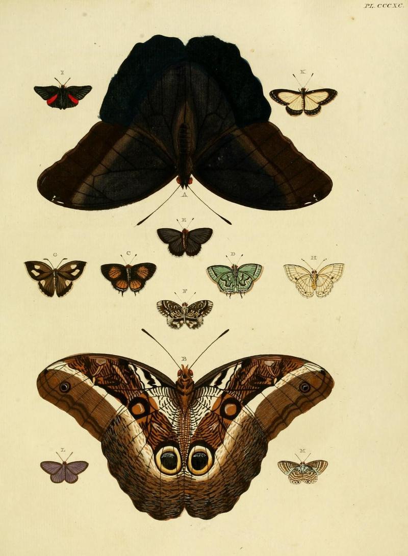 Aanhangsel van het werk, De uitlandsche kapellen (10313470444)