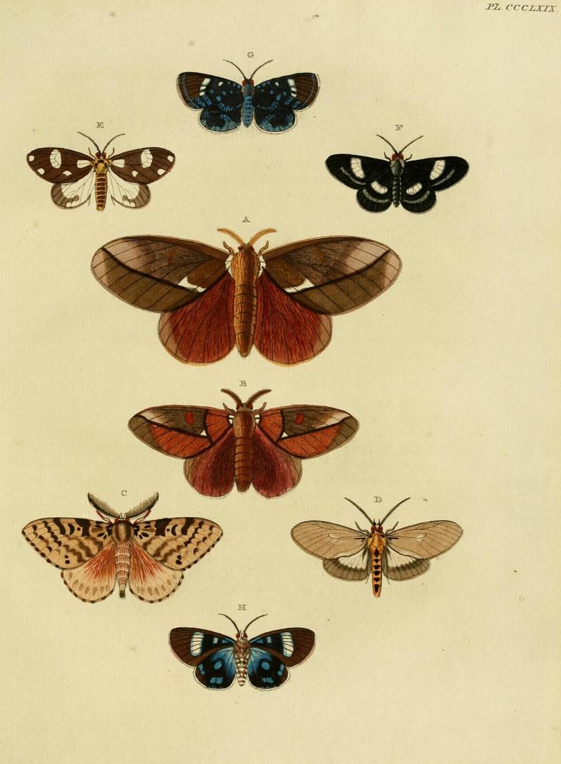 Aanhangsel van het werk, De uitlandsche kapellen (10313472186)