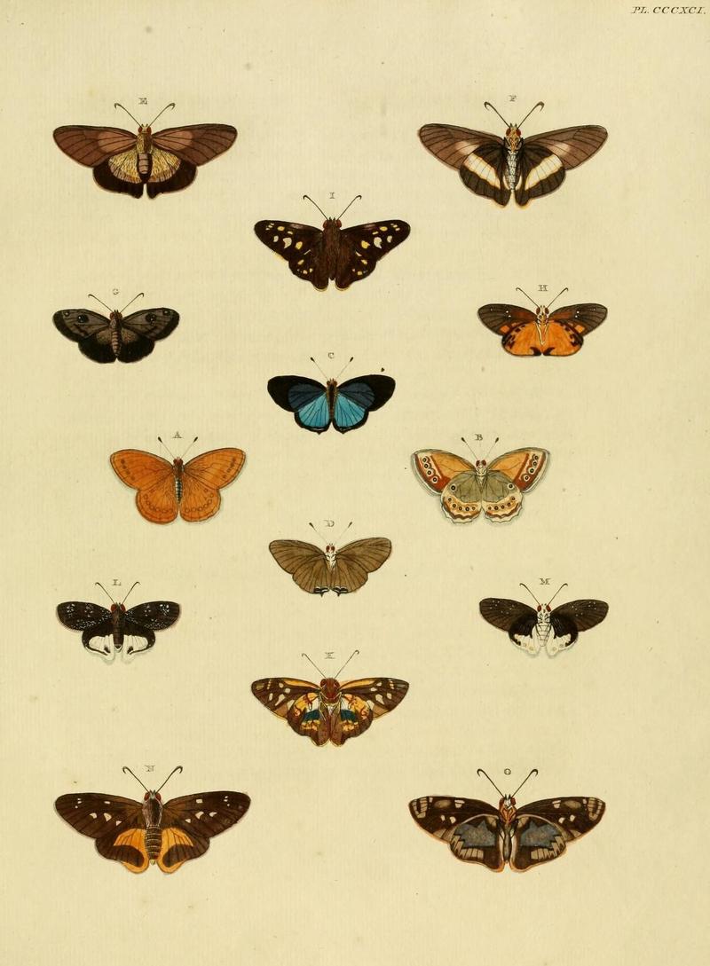 Aanhangsel van het werk, De uitlandsche kapellen (10313474214)