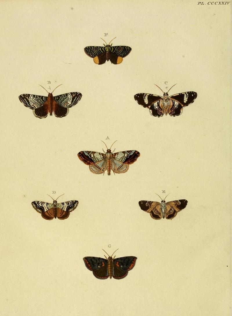 Aanhangsel van het werk, De uitlandsche kapellen (10313480303)