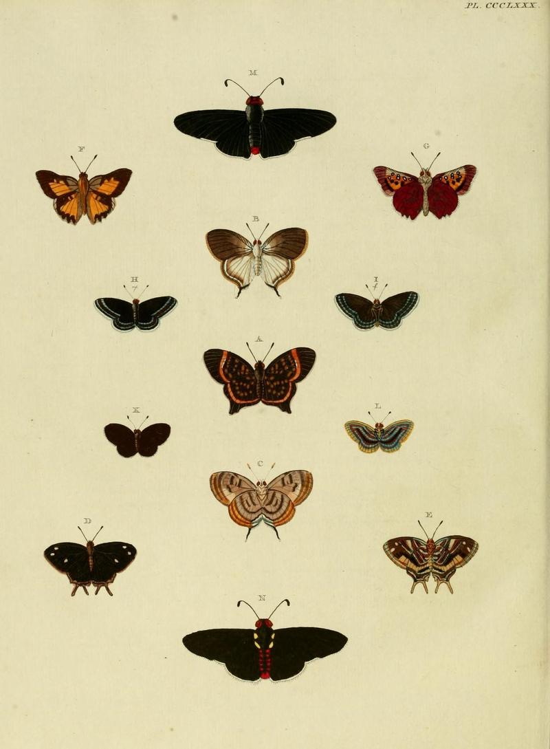 Aanhangsel van het werk, De uitlandsche kapellen (10313482245)