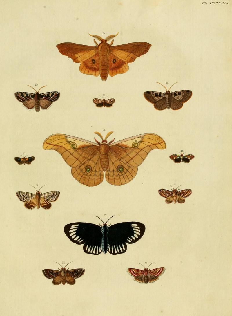 Aanhangsel van het werk, De uitlandsche kapellen (10313487014)