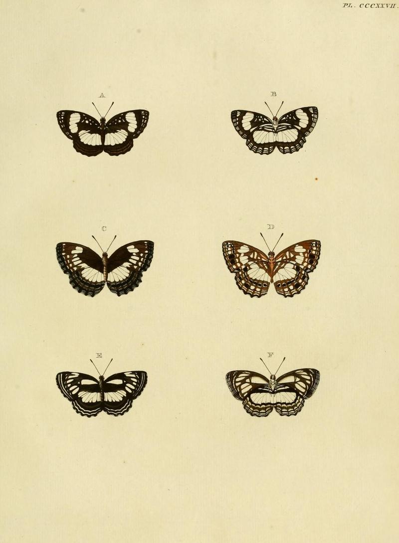 Aanhangsel van het werk, De uitlandsche kapellen (10313488853)