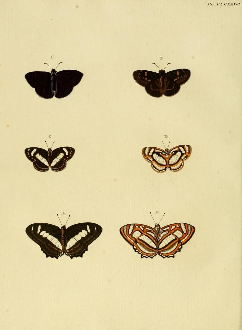 Aanhangsel van het werk, De uitlandsche kapellen (10313491763)