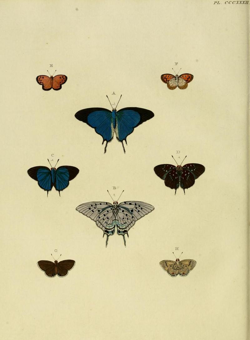 Aanhangsel van het werk, De uitlandsche kapellen (10313502473)