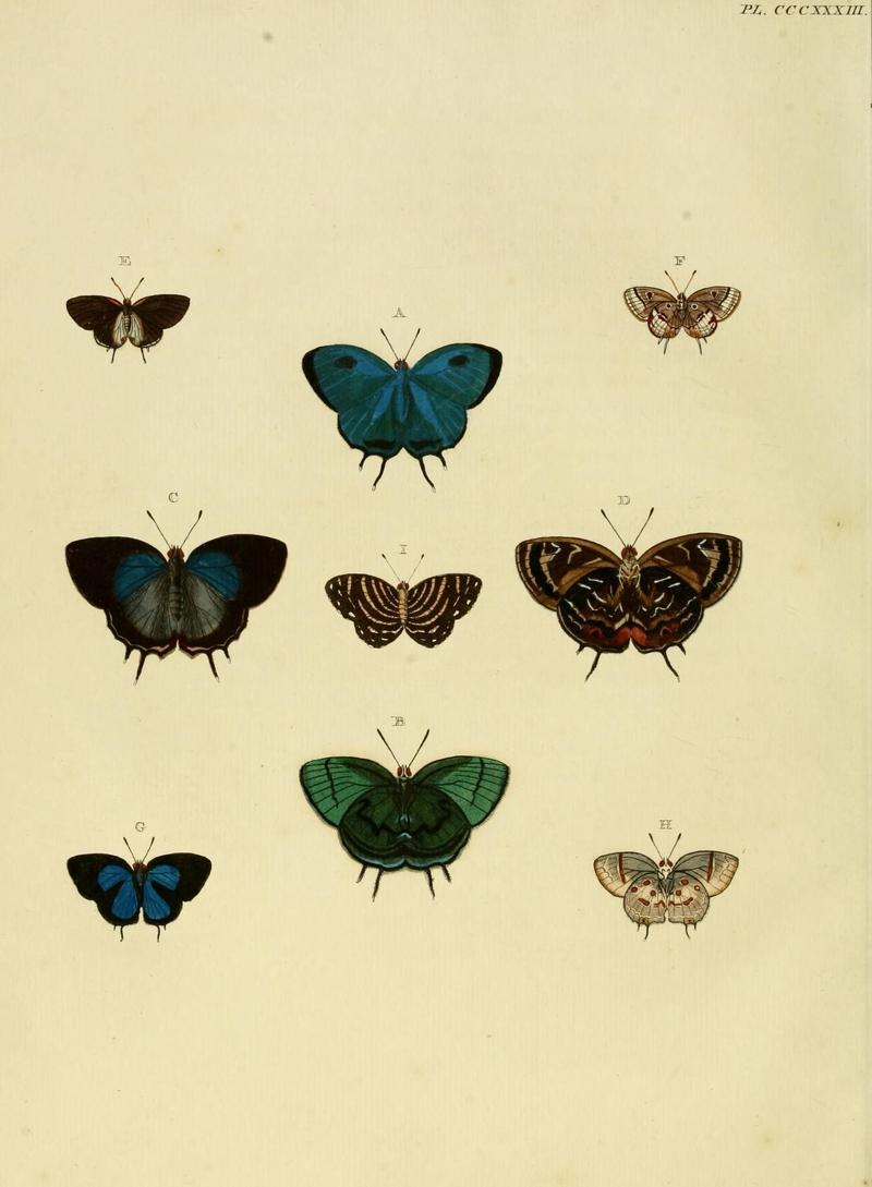 Aanhangsel van het werk, De uitlandsche kapellen (10313504523)