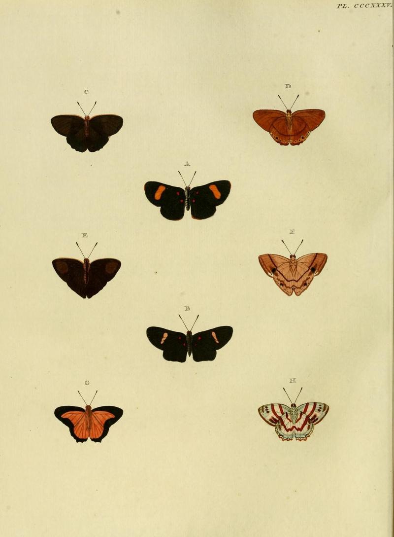 Aanhangsel van het werk, De uitlandsche kapellen (10313512473)