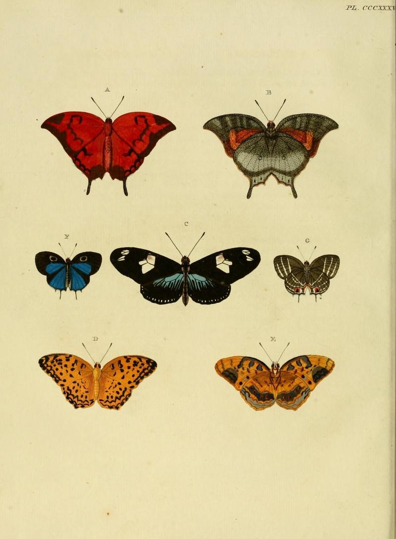 Aanhangsel van het werk, De uitlandsche kapellen (10313515913)