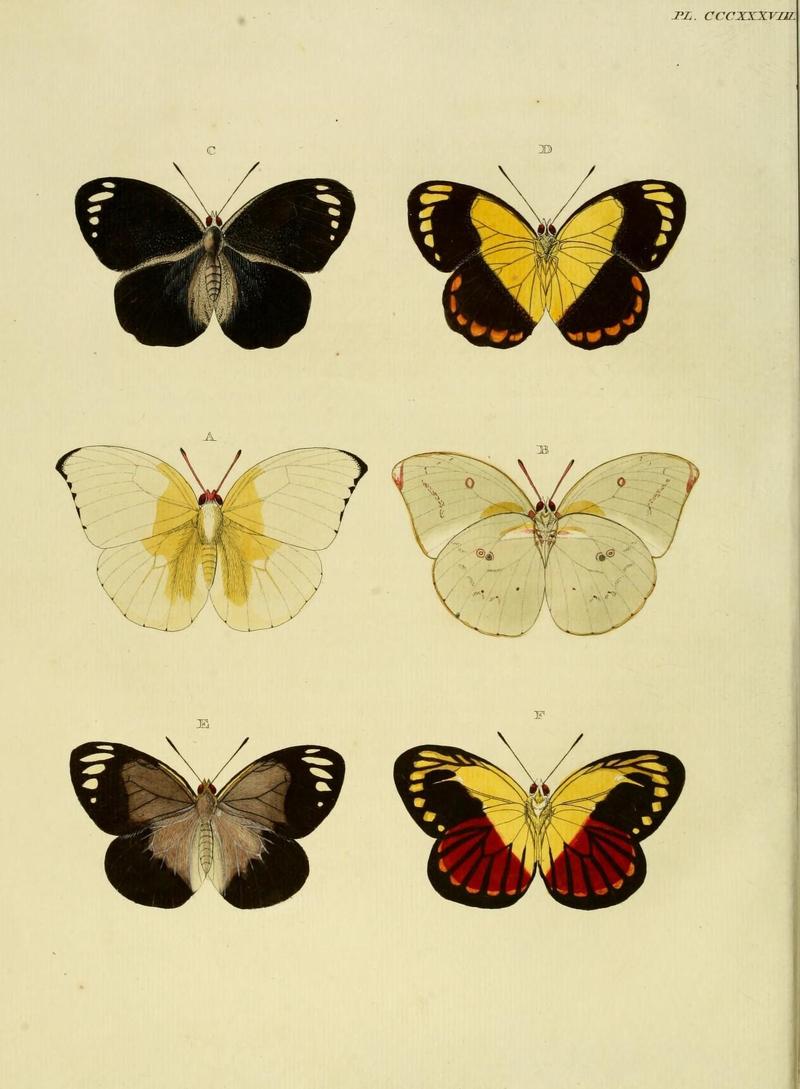 Aanhangsel van het werk, De uitlandsche kapellen (10313521233)