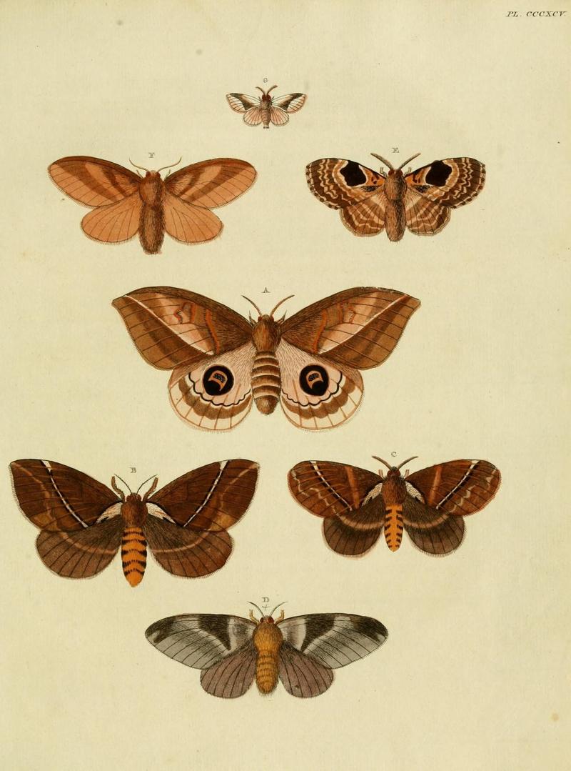 Aanhangsel van het werk, De uitlandsche kapellen (10313524825)