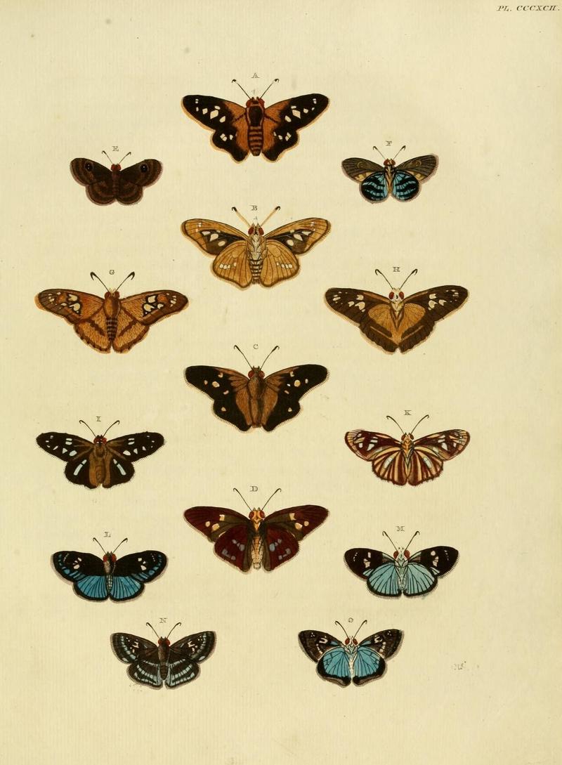 Aanhangsel van het werk, De uitlandsche kapellen (10313540076)