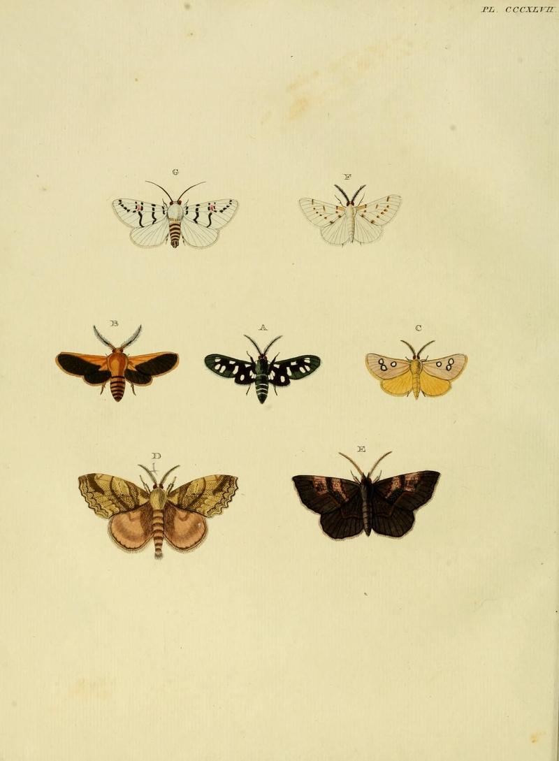 Aanhangsel van het werk, De uitlandsche kapellen (10313541423)