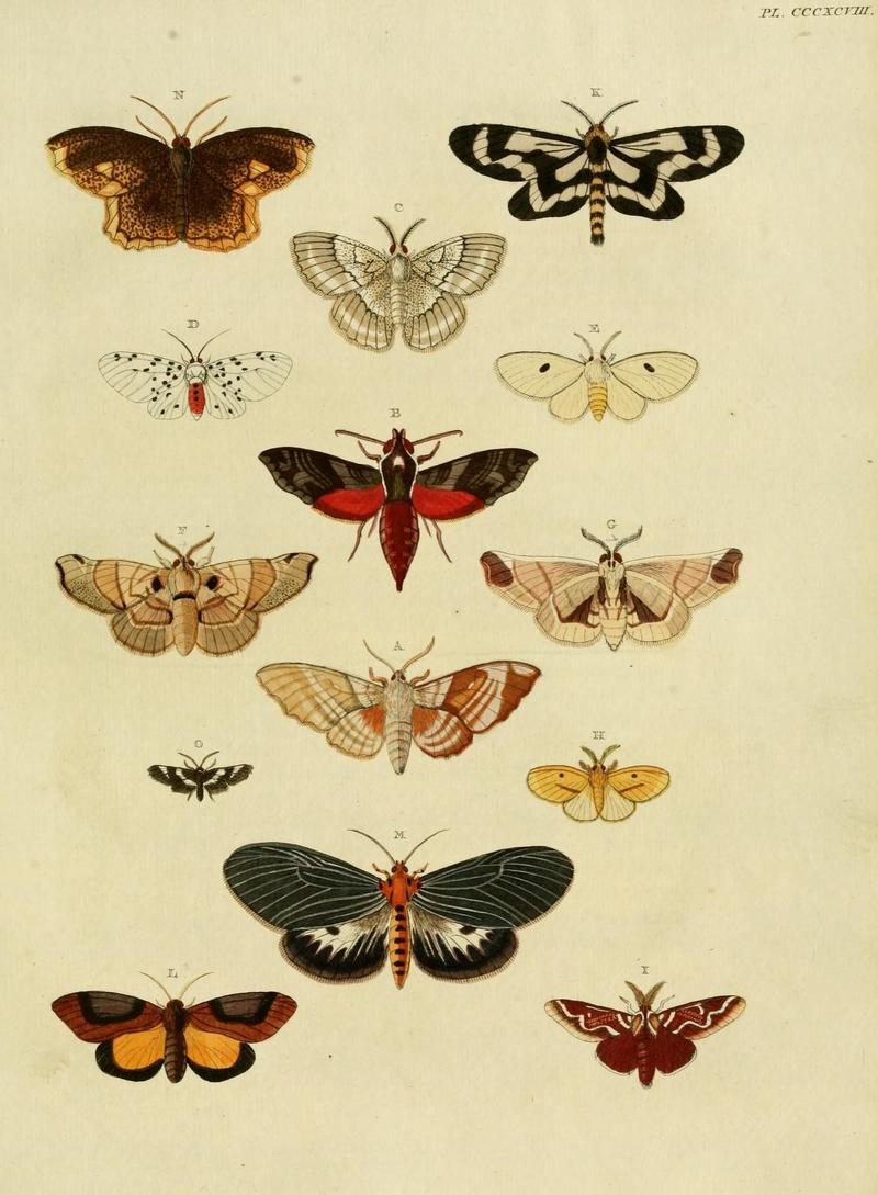 Aanhangsel van het werk, De uitlandsche kapellen (10313556976)