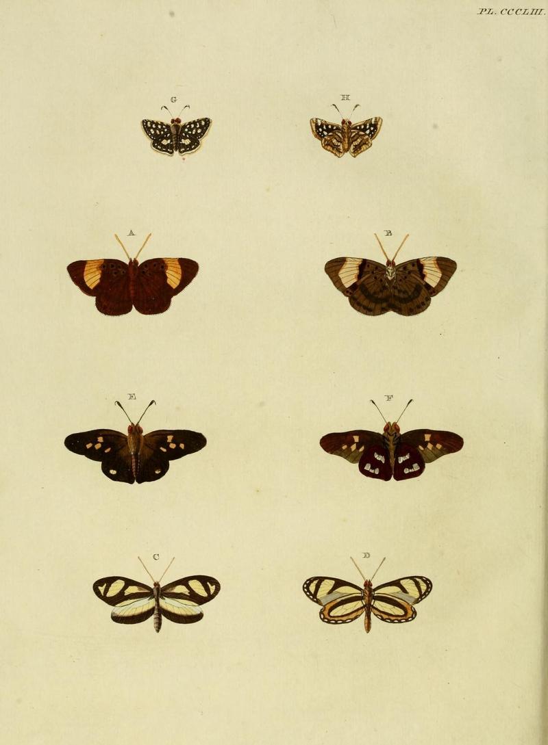 Aanhangsel van het werk, De uitlandsche kapellen (10313557133)