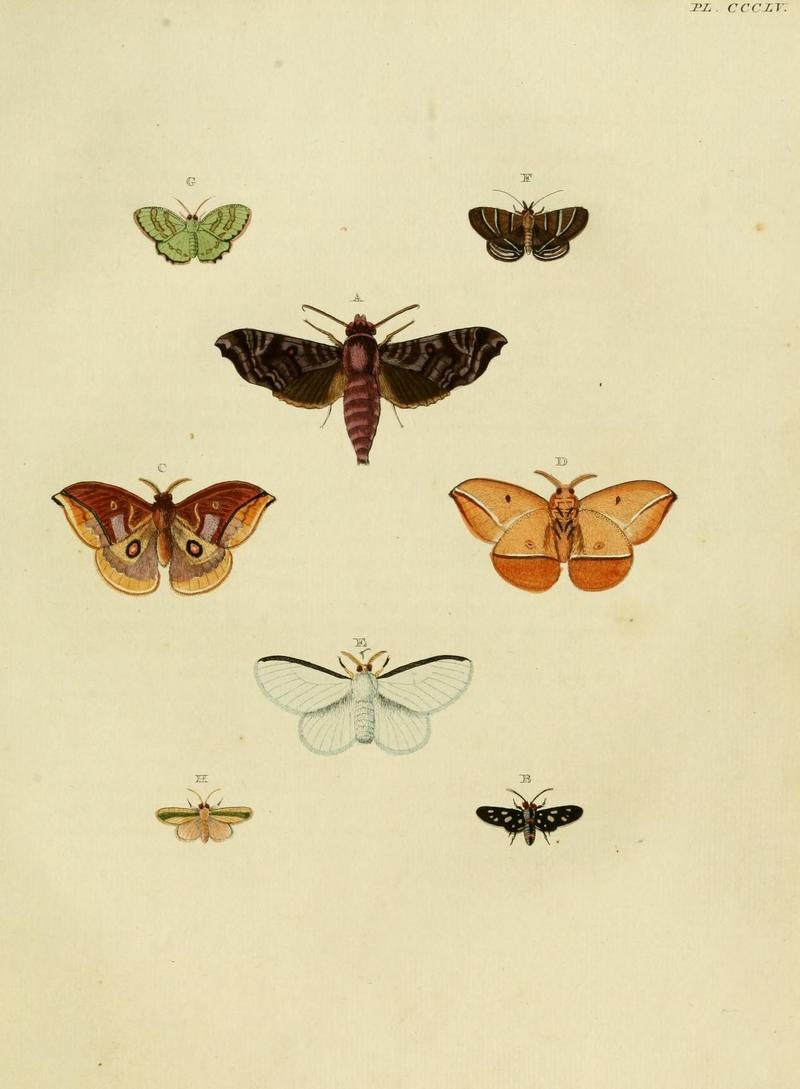 Aanhangsel van het werk, De uitlandsche kapellen (10313563013)