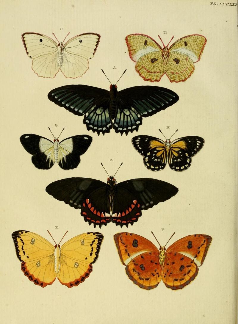 Aanhangsel van het werk, De uitlandsche kapellen (10313585383)