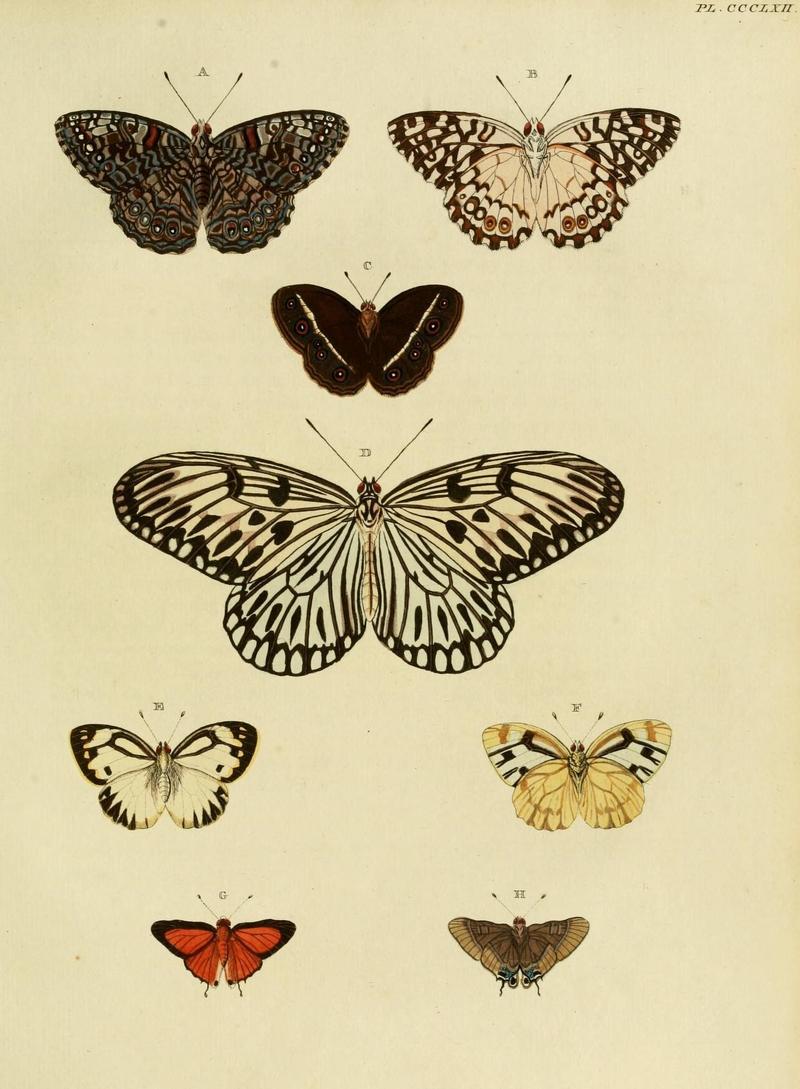 Aanhangsel van het werk, De uitlandsche kapellen (10313589153)